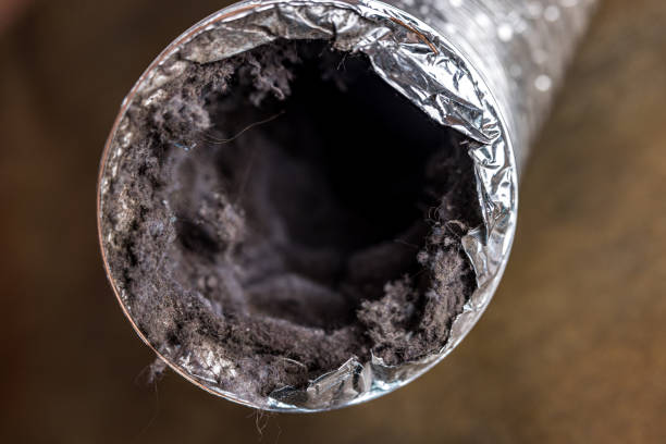 Best Local Air Duct Cleaning Services  in David City, NE