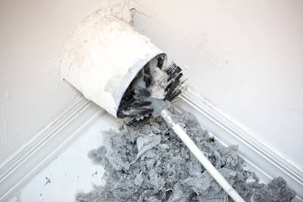 Best Affordable Air Duct Cleaning  in David City, NE